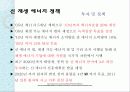 신 재생 에너지 중국 프로젝트 7페이지