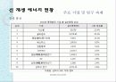 신 재생 에너지 중국 프로젝트 10페이지