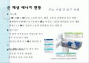 신 재생 에너지 중국 프로젝트 11페이지
