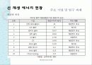 신 재생 에너지 중국 프로젝트 12페이지