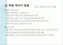 신 재생 에너지 중국 프로젝트 13페이지