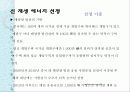 신 재생 에너지 중국 프로젝트 17페이지