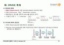 BIOCHEMISTRY 1 - Chapter 4 Nucleic Acids 19페이지