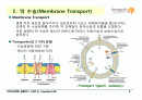 BIOCHEMISTRY 1 - Chapter 13 Membrane Channels and Pumps 2페이지