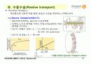 BIOCHEMISTRY 1 - Chapter 13 Membrane Channels and Pumps 5페이지