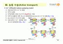 BIOCHEMISTRY 1 - Chapter 13 Membrane Channels and Pumps 13페이지