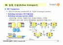 BIOCHEMISTRY 1 - Chapter 13 Membrane Channels and Pumps 14페이지