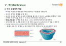 BIOCHEMISTRY 1 - Chapter 12 Lipids 32페이지