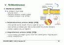 BIOCHEMISTRY 1 - Chapter 12 Lipids 35페이지