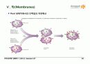 BIOCHEMISTRY 1 - Chapter 12 Lipids 38페이지