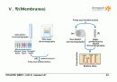 BIOCHEMISTRY 1 - Chapter 12 Lipids 42페이지