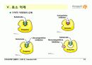 BIOCHEMISTRY 1 - Chapter 8 Enzymes : Nature, Kinetics, Regulation 18페이지
