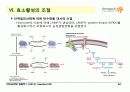 BIOCHEMISTRY 1 - Chapter 8 Enzymes : Nature, Kinetics, Regulation 26페이지