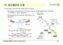 BIOCHEMISTRY 1 - Chapter 8 Enzymes : Nature, Kinetics, Regulation 29페이지