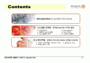 Protein Function 2페이지