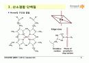 Protein Function 6페이지
