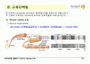 Protein Function 23페이지