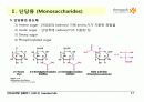 Carbohydrates 17페이지