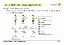 Carbohydrates 21페이지