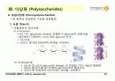 Carbohydrates 22페이지