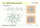Carbohydrates 23페이지