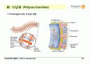 Carbohydrates 26페이지