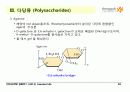 Carbohydrates 28페이지