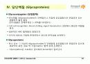 Carbohydrates 30페이지