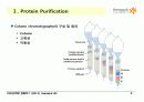 Techniques in Protein Biochemistry 5페이지