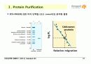 Techniques in Protein Biochemistry 12페이지