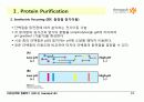 Techniques in Protein Biochemistry 13페이지