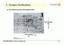 Techniques in Protein Biochemistry 15페이지