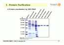 Techniques in Protein Biochemistry 17페이지