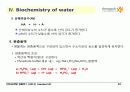 Foundations of Biochemistry 32페이지