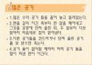 보육학개론/유아 공기놀이 ppt 7페이지