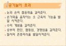 보육학개론/유아 공기놀이 ppt 9페이지