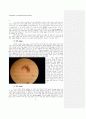 [생물화학실험] 코아세르베이트(Coacervate) 관찰 (The Observation of the Coacervate) 4페이지