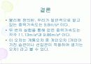 물리실험 결과보고서 10페이지