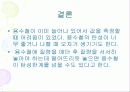 물리실험 결과보고서 28페이지