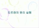 물리실험 결과보고서 56페이지