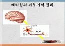 베리칩의 현황과 전망 7페이지