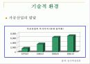전통음료 시장분석 10페이지