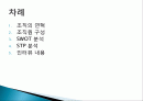 한국권투위원회 조직 연혁, 조직원 구성, SWOT 분석, STP분석, 발달, 역사, 배경, 현황, 영향, 관리, 역할, 기법, 시사점 2페이지