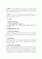 노무현 정부(참여정부) 주요정책에 대한 내용과 평가 16페이지