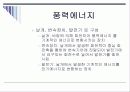 [인간과 환경] 대체에너지 이용에 관한 연구 (풍력, 폐기물) 6페이지