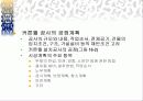 16-1 커튼월 공사계획 3페이지