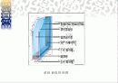 16-1 커튼월 공사계획 18페이지