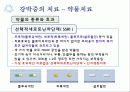 강박증 26페이지