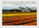 해양과 환경 발표 - 간척사업 소개, 간척사업을 둘러싼 논쟁들, 새만금 사업에 대한 궁금증 6페이지