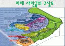 해양과 환경 발표 - 간척사업 소개, 간척사업을 둘러싼 논쟁들, 새만금 사업에 대한 궁금증 15페이지